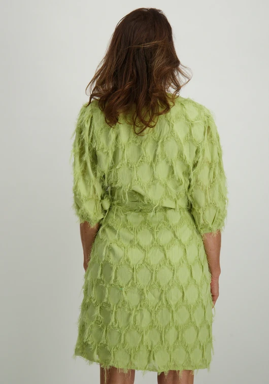 Aaiko DRESS FLORICA PES 482