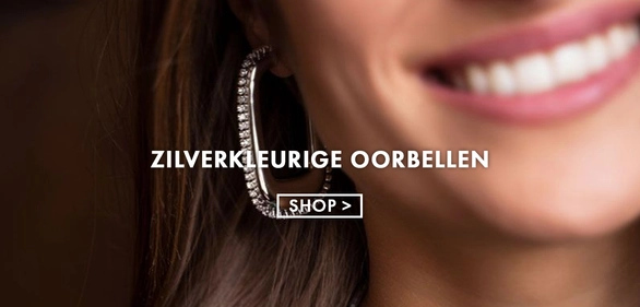 Banner langwerpig 1 oorbel zilver