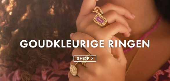 Banner langwerpig 1 ring goud