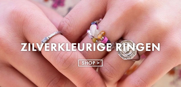 Banner langwerpig 2 ring zilver