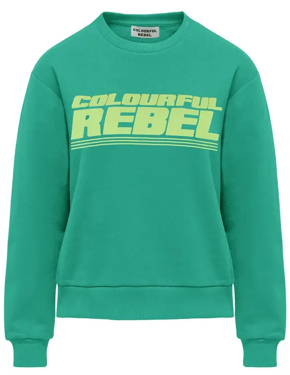 Colourful Rebel Bold Puff Logo Relaxed Sweat WS416100