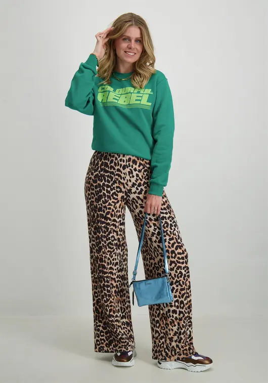 Colourful Rebel Bold Puff Logo Relaxed Sweat WS416100