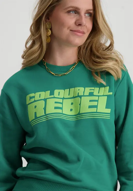 Colourful Rebel Bold Puff Logo Relaxed Sweat WS416100