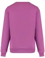 Colourful Rebel Bold Puff Logo Relaxed Sweat WS416129