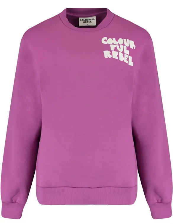 Colourful Rebel Bold Puff Logo Relaxed Sweat WS416129