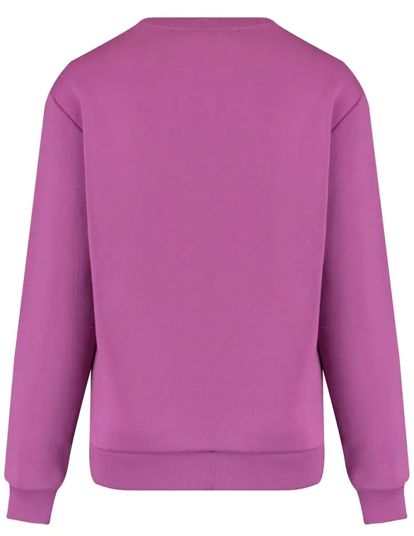 Colourful Rebel Bold Puff Logo Relaxed Sweat WS416129