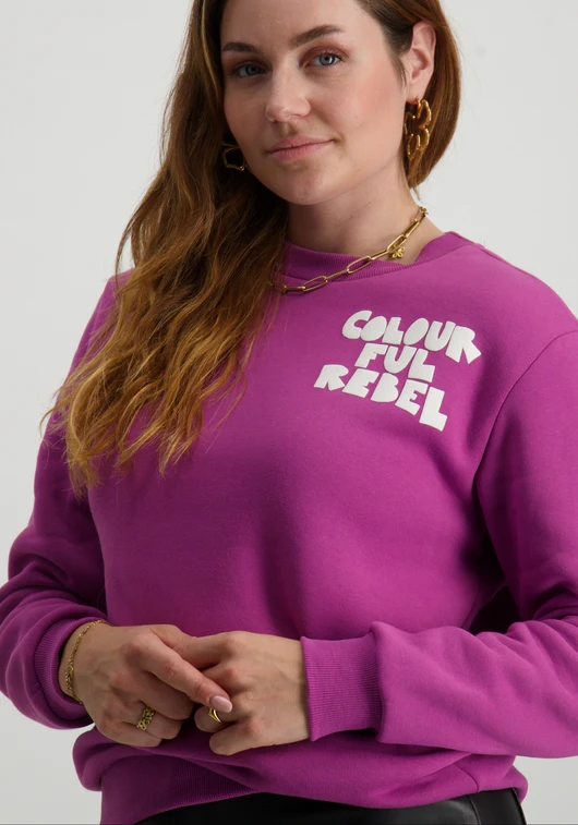 Colourful Rebel Bold Puff Logo Relaxed Sweat WS416129