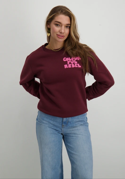 Colourful Rebel Bold Puff Logo Relaxed Sweat WS416243