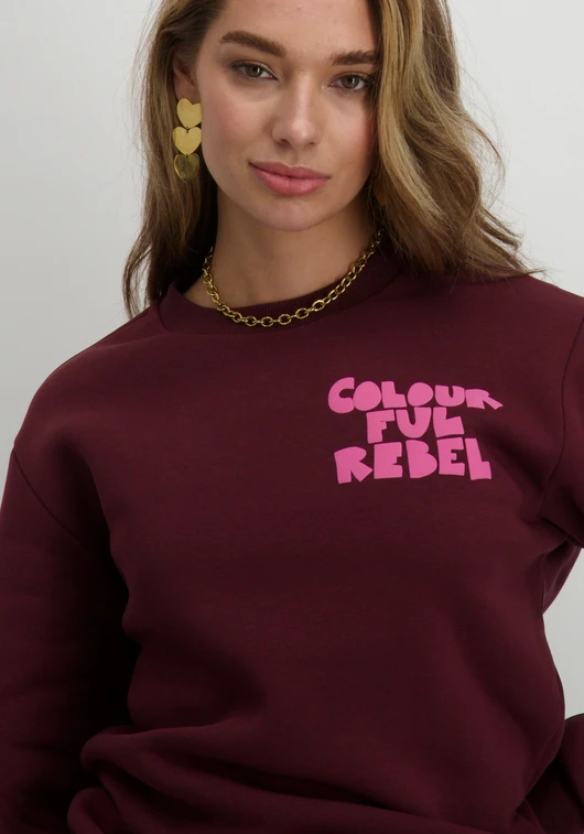 Colourful Rebel Bold Puff Logo Relaxed Sweat WS416243