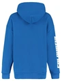 Colourful Rebel Bold Sleeve Logo Clean Hoodie WH116093