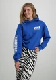 Colourful Rebel Bold Sleeve Logo Clean Hoodie WH116093