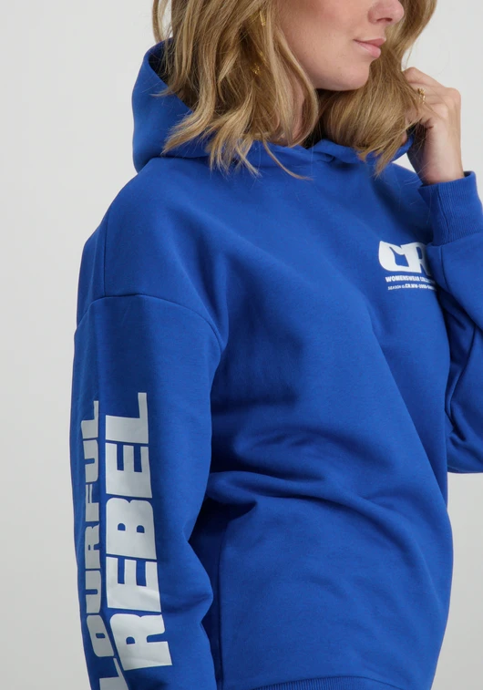 Colourful Rebel Bold Sleeve Logo Clean Hoodie WH116093