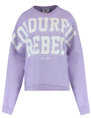 Colourful Rebel Brand Blocks Dropped Shoulder Sweat WS415084