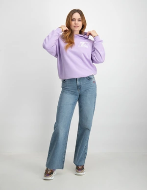 Colourful Rebel C star Oversized Clean Hoodie WH115095