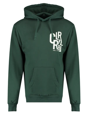 Colourful Rebel CLRFL RBL ams. 2013 Hoodie MH113073
