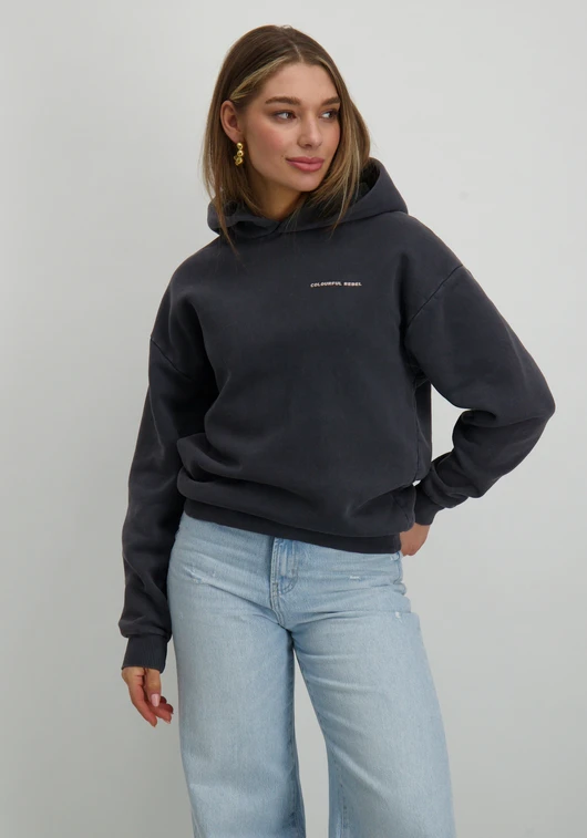 Colourful Rebel Concert acid wash clean hoodie WH116579