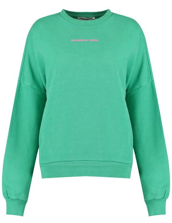 Colourful Rebel CR back logo sweat WS414189