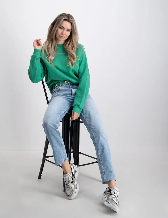 Colourful Rebel CR back logo sweat WS414189
