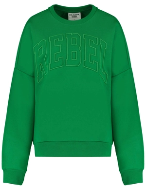 Colourful Rebel CR Embro Dropped Shoulder Sweat WS415360
