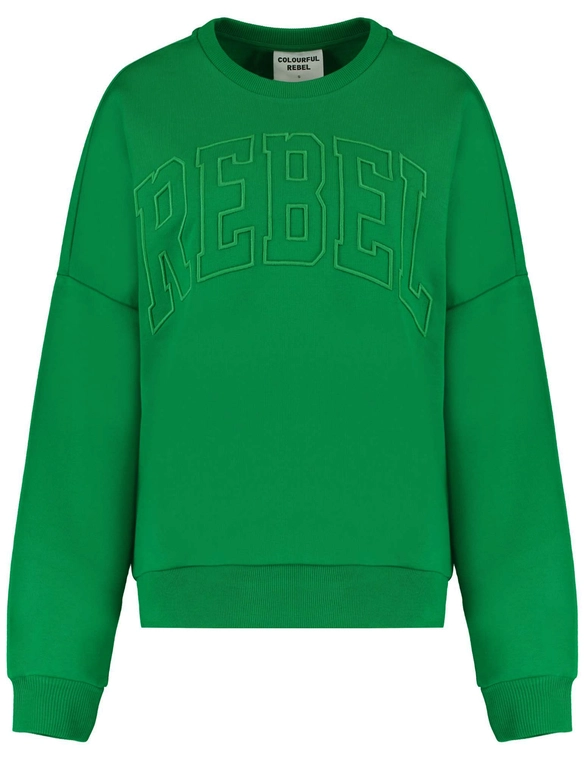 Colourful Rebel CR Embro Dropped Shoulder Sweat WS415360