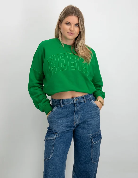 Colourful Rebel CR Embro Dropped Shoulder Sweat WS415360