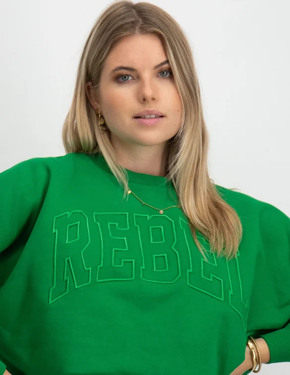Colourful Rebel CR Embro Dropped Shoulder Sweat WS415360