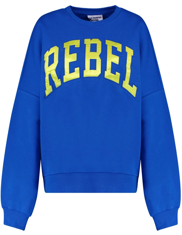 Colourful Rebel CR Embro Drppd Shoulder Sweat WS415379