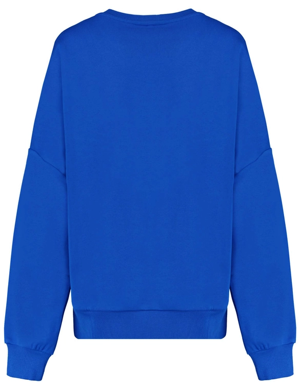 Colourful Rebel CR Embro Drppd Shoulder Sweat WS415379