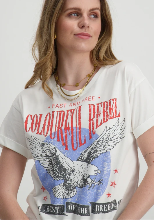 Colourful Rebel Eagle boxy tee WT115935