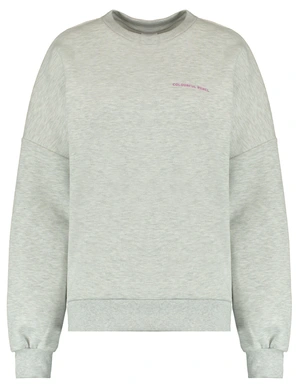 Colourful Rebel Flower World Tour Dropped Shoulder Sweat WS416132