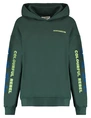 Colourful Rebel Flowers sleeve logo clean hoodie WH116197