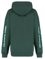 Colourful Rebel Flowers sleeve logo clean hoodie WH116197