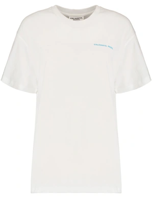 Colourful Rebel Gradient Poster Loosefit Tee WT116102
