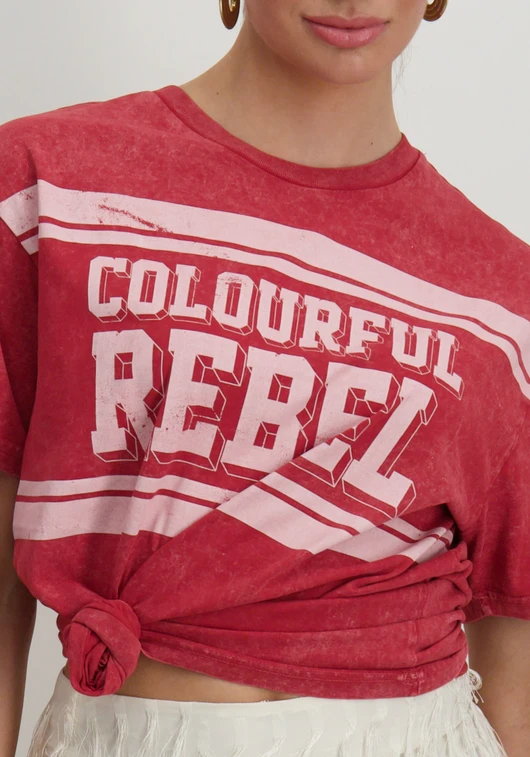 Colourful Rebel Logo Block Acid Wash Loosefit Tee WT116731