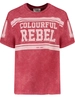 Colourful Rebel Logo Block Acid Wash Loosefit Tee WT116731
