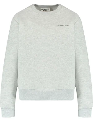 Colourful Rebel logo circle Relaxed sweat WS416597