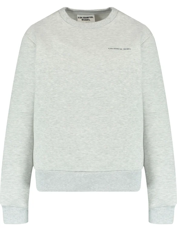 Colourful Rebel logo circle Relaxed sweat WS416597