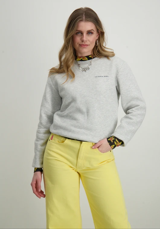 Colourful Rebel logo circle Relaxed sweat WS416597