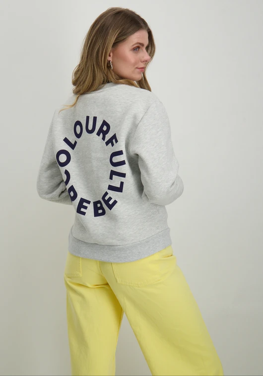 Colourful Rebel logo circle Relaxed sweat WS416597