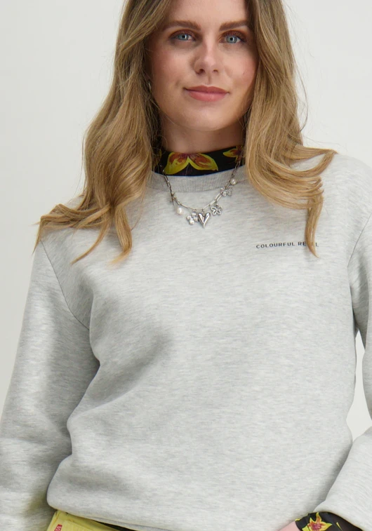 Colourful Rebel logo circle Relaxed sweat WS416597