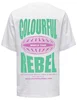 Colourful Rebel logo globe loosefit tee WT116548