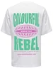 Colourful Rebel logo globe loosefit tee WT116548