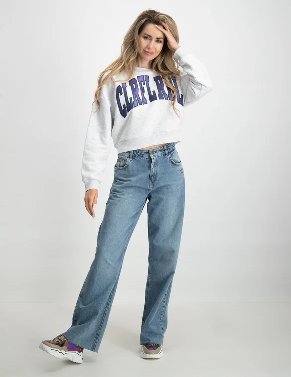 Colourful Rebel Logo Patch Cropped Dropped Sweat WS415051