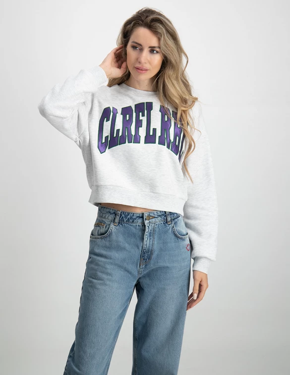 Colourful Rebel Logo Patch Cropped Dropped Sweat WS415051