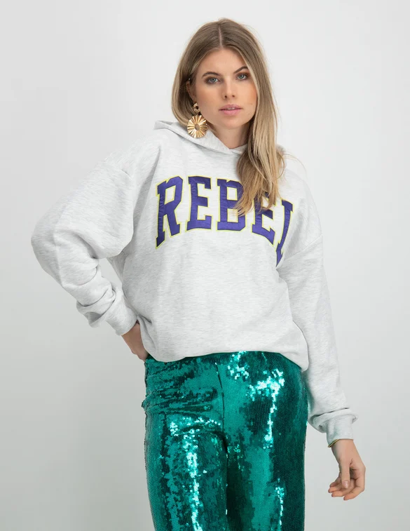Colourful Rebel Logo patch Oversized Hoodie WH115370