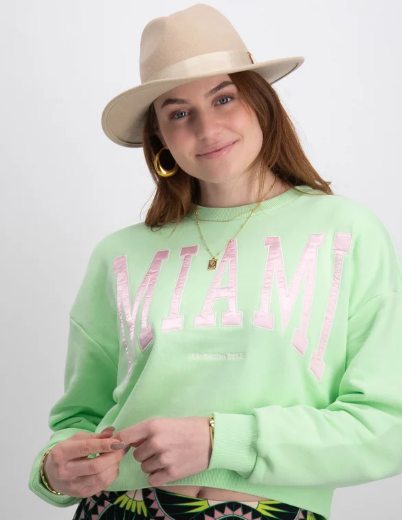 Colourful Rebel Miami patch cropped sweat WS414075