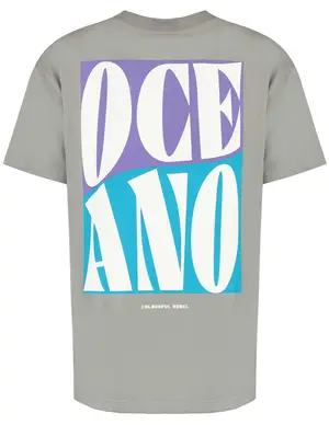 Colourful Rebel Oceano Back Loosefit Tee WT115774