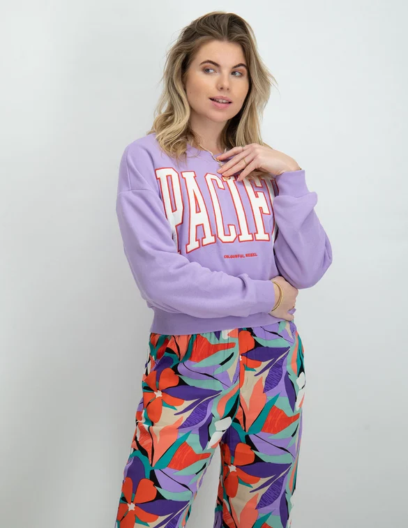Colourful Rebel Pacific patch cropped sweat WS414246