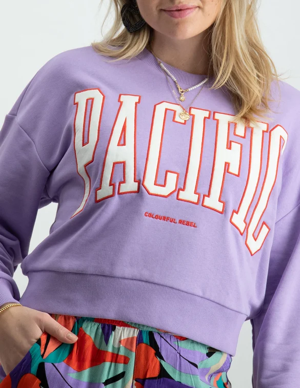 Colourful Rebel Pacific patch cropped sweat WS414246