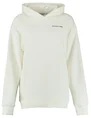Colourful Rebel Panther moon clean hoodie WH114241